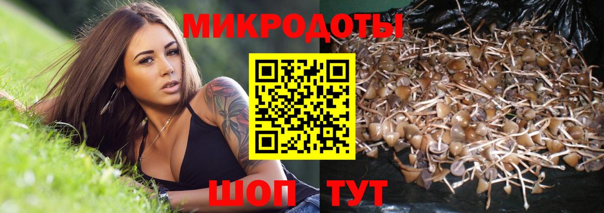 Псилоцибиновые грибы GOLDEN TEACHER  Псилоцибиновые грибы GOLDEN TEACHER  Вход с VPN  Дедовск 
